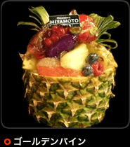 �S�[���f���p�C��